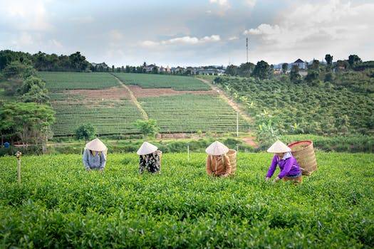 Unleashing AI: Reshaping Business, Job Market, and Sustainable Agriculture