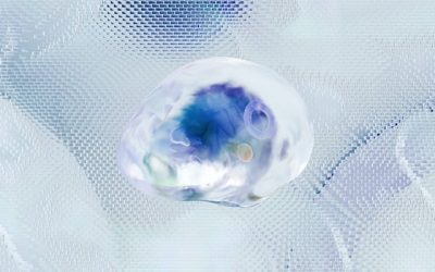 Navigating digital transformation: The pivotal role of Kavita Mistry at AMP