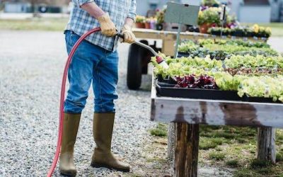 DNX Solutions and Databricks: Unleashing the power of strategic partnerships for transformative business growth