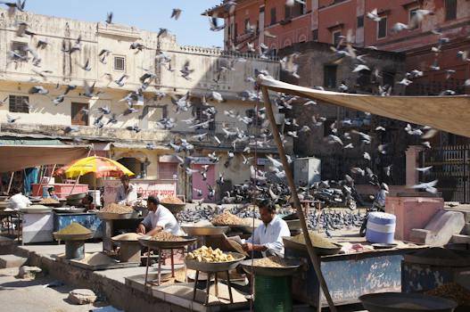 Harnessing the Power of NAS and AI: Navigating the $58.57 billion Market Revolution