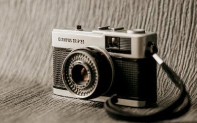 Surviving isn’t enough: Thrive in the digital age with transformation